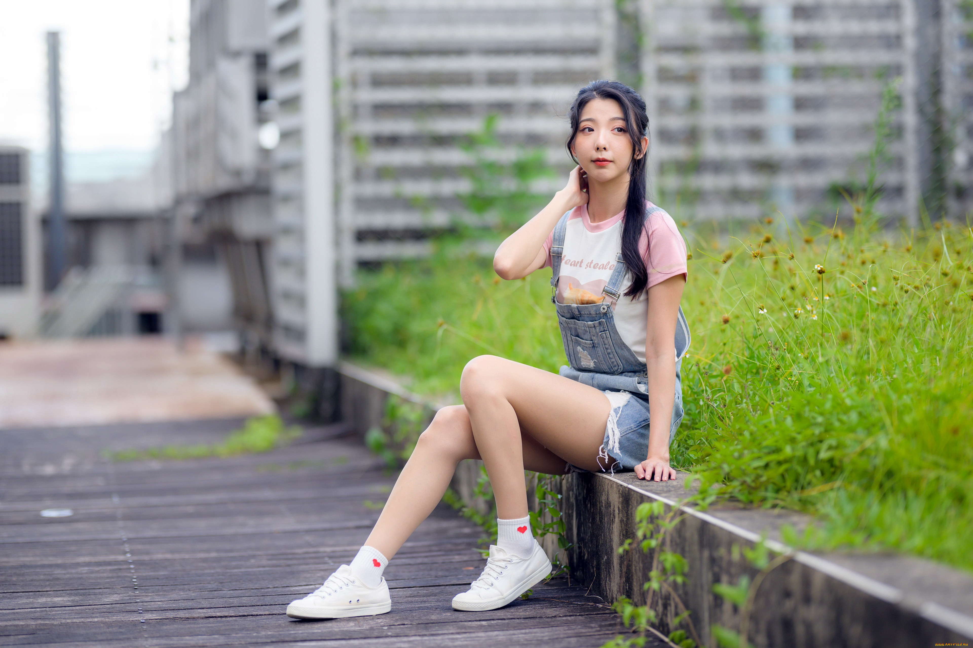 , - , 